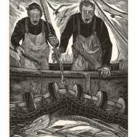 Machias Cod | Siri Beckman