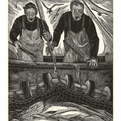 Machias Cod | Siri Beckman