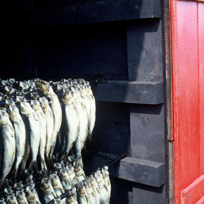 McCurdy Smokehouse | Frank Van Riper