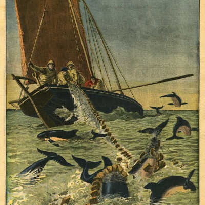 Les Dauphins Destructeurs de la Sardine | 1913