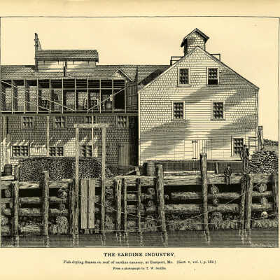The Sardine Industry. Plate 141 | From a photograph by T.W. Smillie