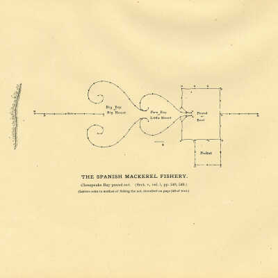 The Spanish Mackerel Fishery. Plate 148 | Chesapeake Bay Pound Net | 1887