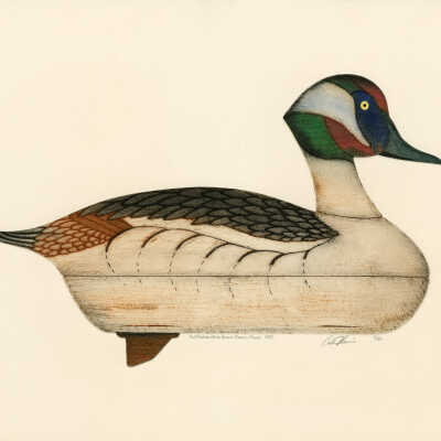 Bufflehead Drake Decoy, Orono, Maine | Arthur Nevins