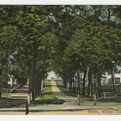 Calais Avenue, Calais, Maine | Postcard | c.1900