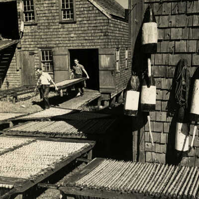 Carrying Out the Wooden Horses of Herring to Dry in the Sun | George Daniell