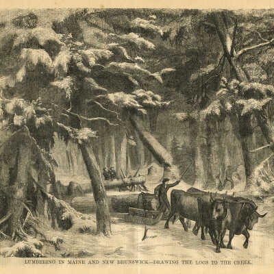 Lumbering in Maine and New Brunswick - Drawing the Logs to the Creek | 1858