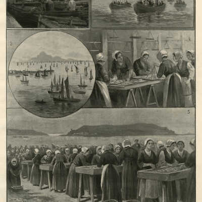 The Sardine Famine in France: Scenes of the Fishery in Brittany | P. Frenzeny