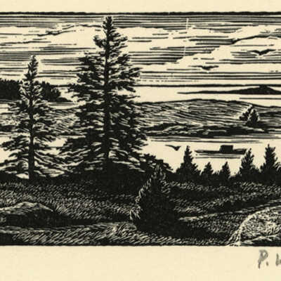 The Narrows | Pauline Inman