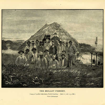 The Mullet Fishery. Plate 149 | From a photograph