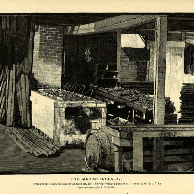 The Sardine Industry. Plate 142 | From a photograph by T.W. Smillie