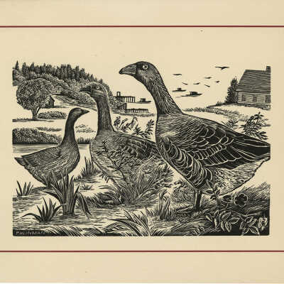Christmas Card [Geese] | Pauline Inman