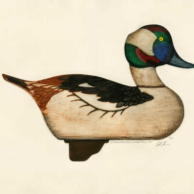 Bufflehead Drake Decoy, Eastport, Maine | Arthur Nevins