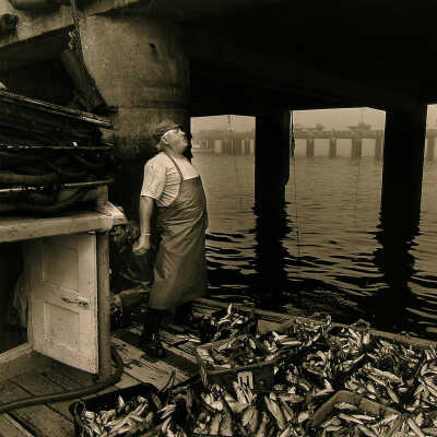 Portuguese fisherman | Larry Fink | 1995