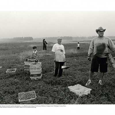 Cory & Family, Blueberry Harvest | David Stess