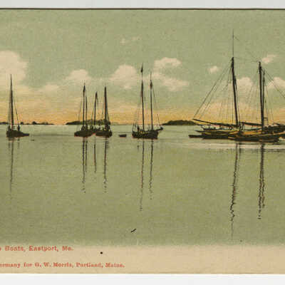 Sardine Boats, Eastport, Maine | Postcard