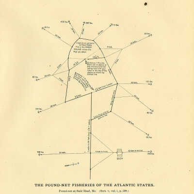 The Pound-Net Fisheries of the Atlantic States | Bald Head, Maine | 1887
