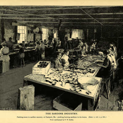 The Sardine Industry. Plate 143 | From a photograph by T.W. Smillie