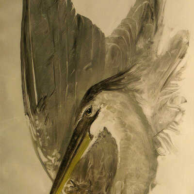 Great Blue Heron | Nina Bohlen