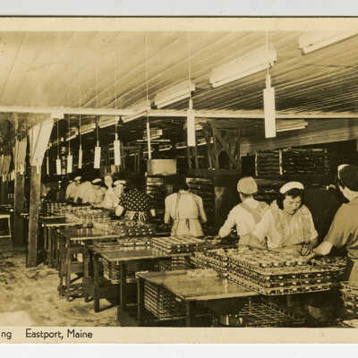 Fish Packing, Eastport, Maine | Postcard