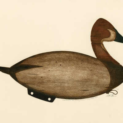 Canvas Back Hen Decoy, Cobscook Bay, Maine | Arthur Nevins