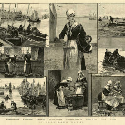The French Sardine Industry | [No Artist Defined]