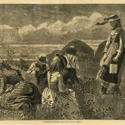 Gathering Berries — Drawn by Winslow Homer | Winslow Homer
