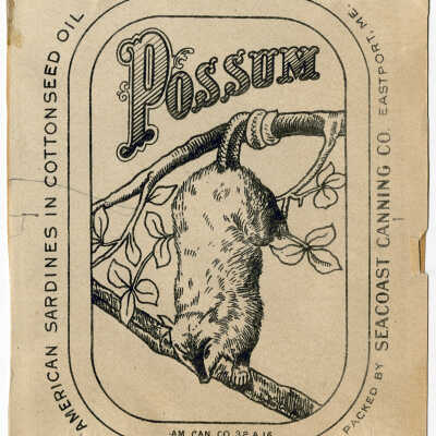 Possum. American Sardines in Cottonseed Oil. | [No Artist Defined]