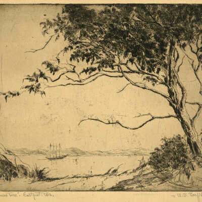 “Windblown Tree”. Eastport. Me | M.S. Garfield [Marjorie Stuart Garfield]