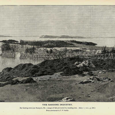 The Sardine Industry. Plate 129 | From a photograph by T.W. Smillie