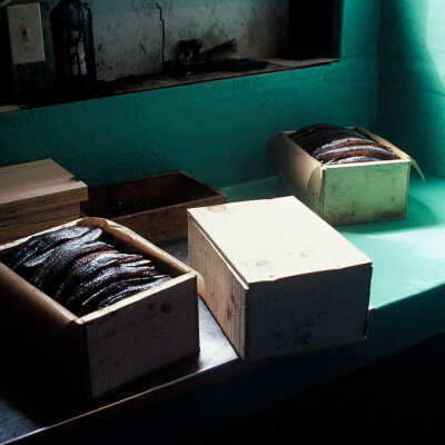 McCurdy Smokehouse | Frank Van Riper