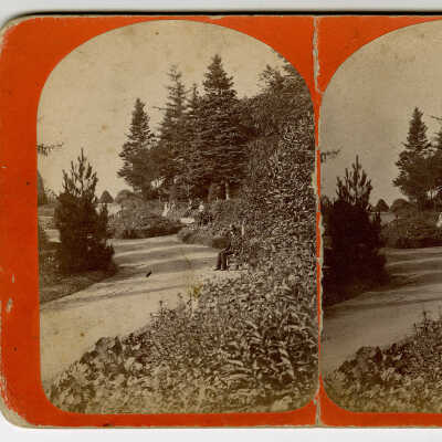 Cherryfield, Maine | Lycurgus Wasgatt