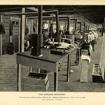 The Sardine Industry. Plate 144 | From a photograph by T.W. Smillie