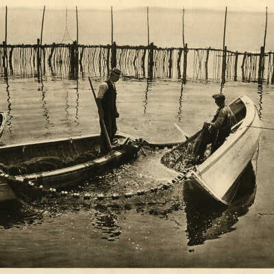 Sardine Fishing, New Brunswick Coast | [No Artist Defined]