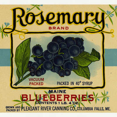 Rosemary Brand Blueberries | [No Artist Defined]