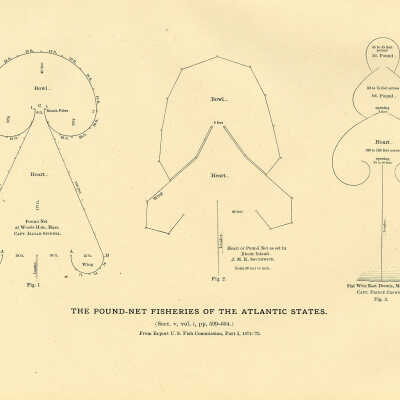 The Pound-Net Fisheries of the Atlantic States. Plate 152 | From Report U.S. Fish Commission, Part I, 1871-'72