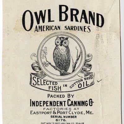 Owl Brand. American Sardines Selected Fish in Cottonseed Oil. | [No Artist Defined]