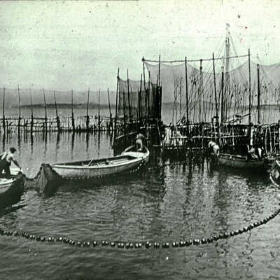 Weir Fishing, St. Andrews, New Brunswick | [No Artist Defined]
