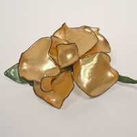 Flower [Pearl Essence] | Eastport, Maine