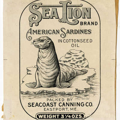 Sea Lion Brand. American Sardines in Cottonseed Oil. | [No Artist Defined]