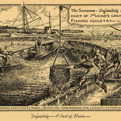 The Sardine - Definitely a Part of Maine's Great Fishing Industry | Roger L. Deering