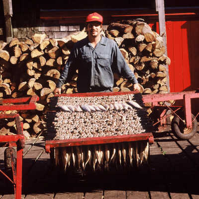 McCurdy Smokehouse | Frank Van Riper