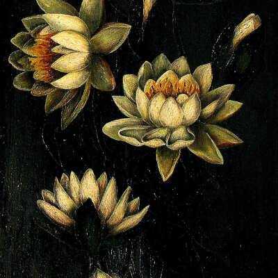 Flowers | Ida Frost