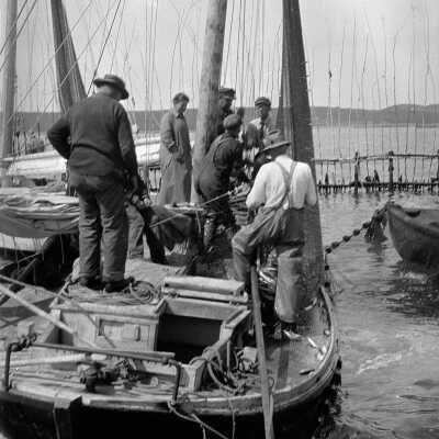 Seining a Weir [Grand Manan] | [No Artist Defined]