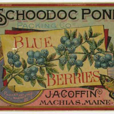 Schoodoc Pond Blueberries Label | [No Artist Defined]