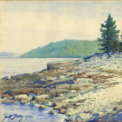 Ironbound Island | Dwight Blaney