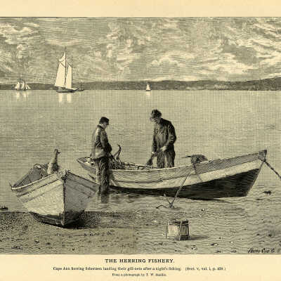 The Herring Fishery. Plate 122 | From a photograph by T.W. Smillie