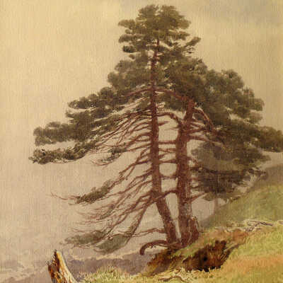 Southern Head Grand Manan | Lucius O'Brien