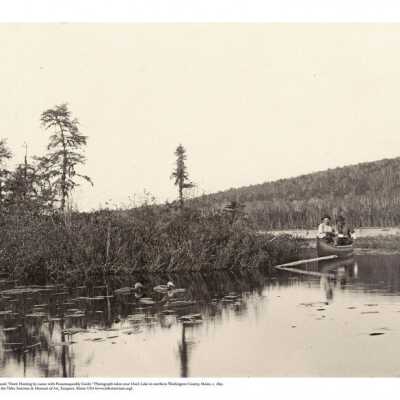 Duck Hunting | William Lyman Underwood