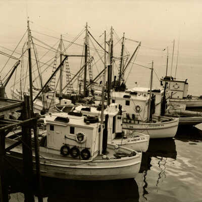Quoddy Fishing Boats | Cecil Greenlaw