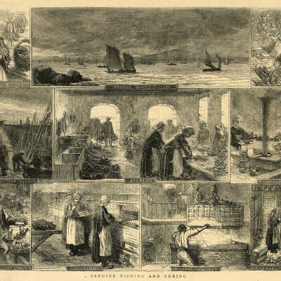 Sardine Fishing and Curing | [No Artist Defined]